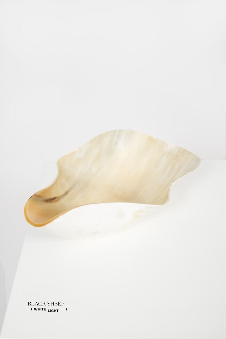 Ankole & Gyr Horn Light Organic Vessel EX-STOCK Canada 