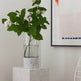 Bianco Carrara Marble and Glass Vase and Hurricane EX-STOCK Canada 