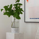 Vase et Ouragan en Marbre Vert et Verre ImpérialEX-STOCK Canada 