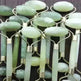 Beauty Jade Massage Facial Massage Beauty Massage Roller - EX-STOCK CANADA