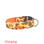 Camouflage pet supplies luminous dog collar EX-STOCK Canada 