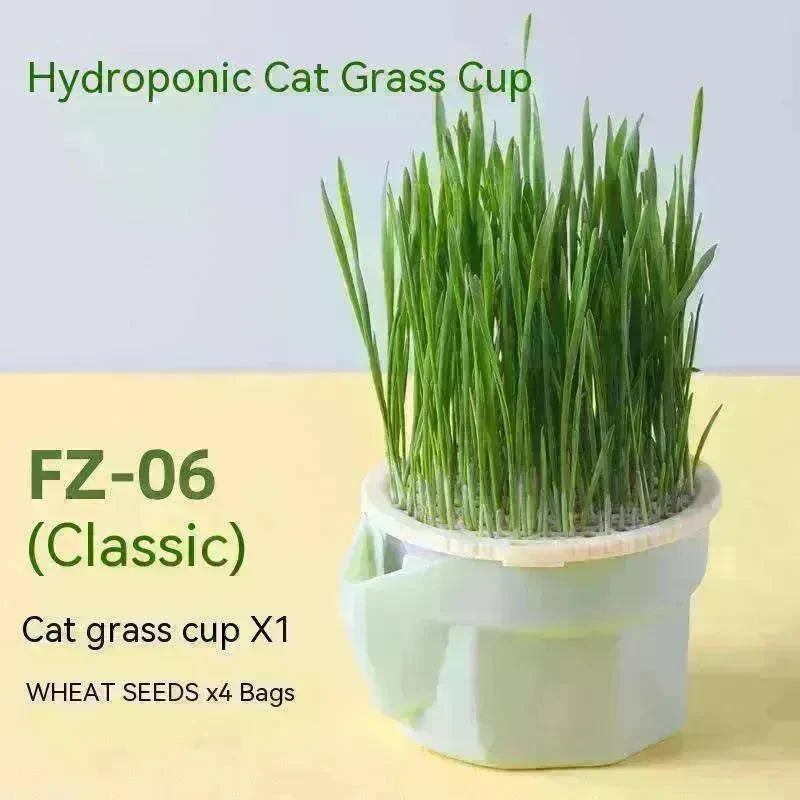 Cat Grass Cup Soilless Hydroponic Seed Spit Hair Ball Snacks - EX-STOCK CANADA