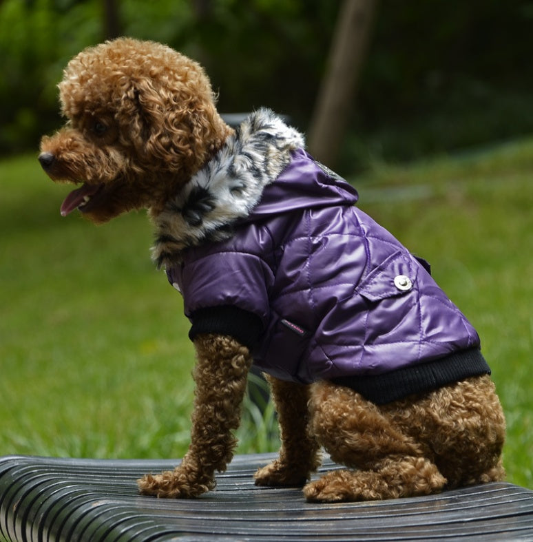 Cross-border pet supplies pet clothes dog clothes autumn and winter fur collar coat pet dog clothing EX-STOCK Canada 