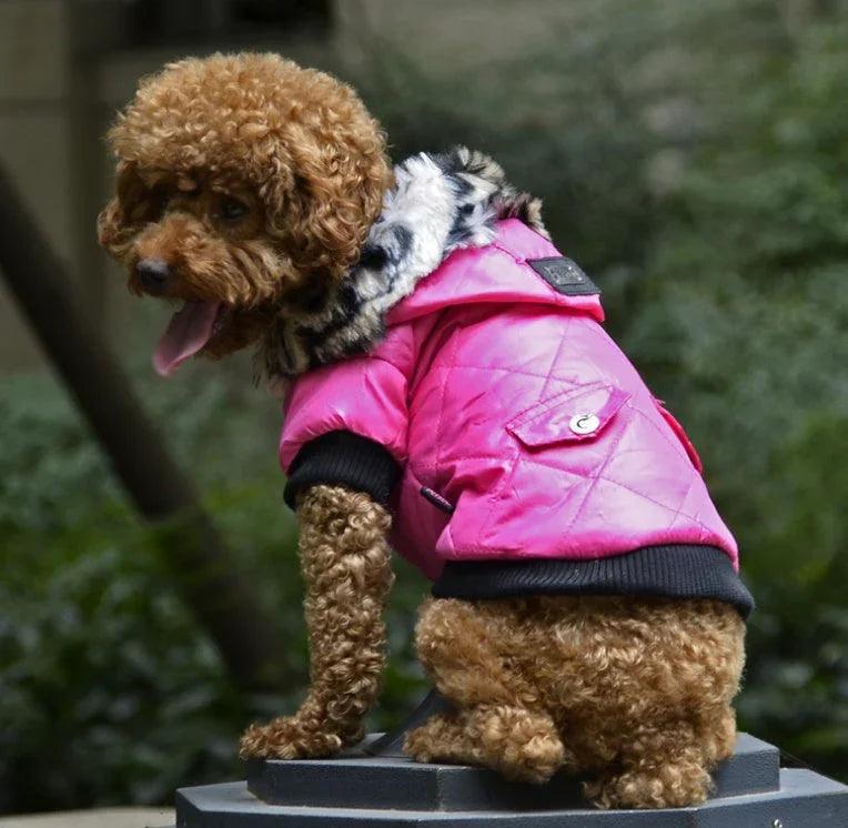 Suministros para mascotas transfronterizos, ropa para mascotas, ropa para perros, abrigo con cuello de piel para otoño e invierno, ropa para perrosEX-STOCK Canada 