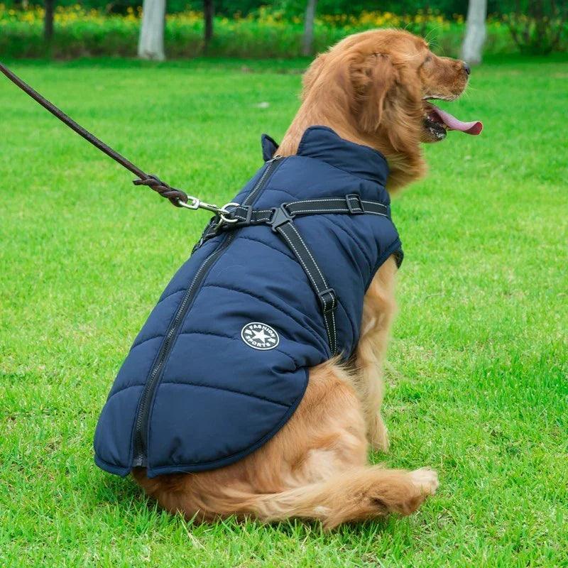 Cassetto Abiti per Cani Gilet in Cotone Integrato Posteriore Abbigliamento per Animali Abbigliamento InvernaleEX-STOCK Canada 