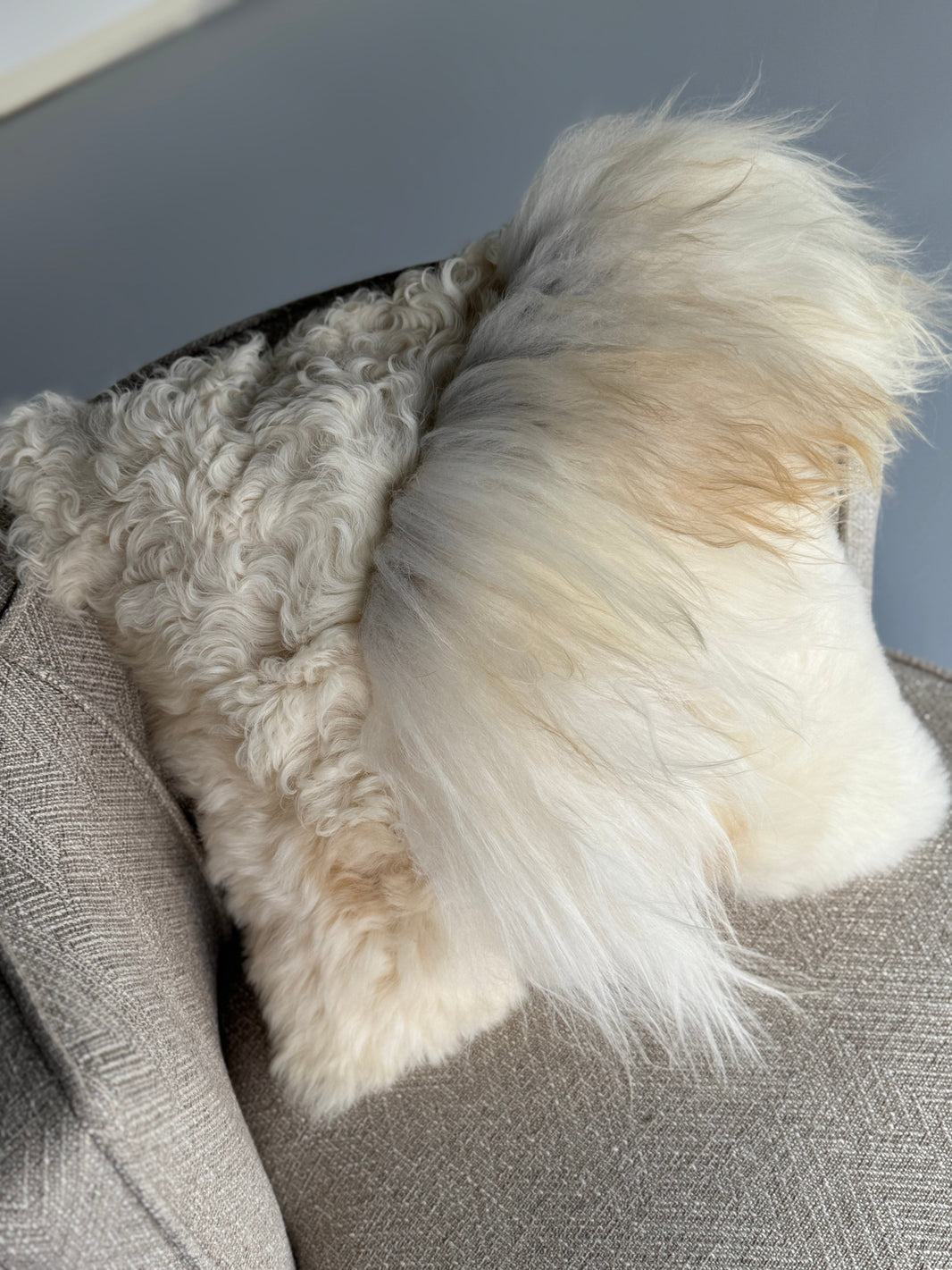 Mélange Sheepskin Pillow, straight wool 