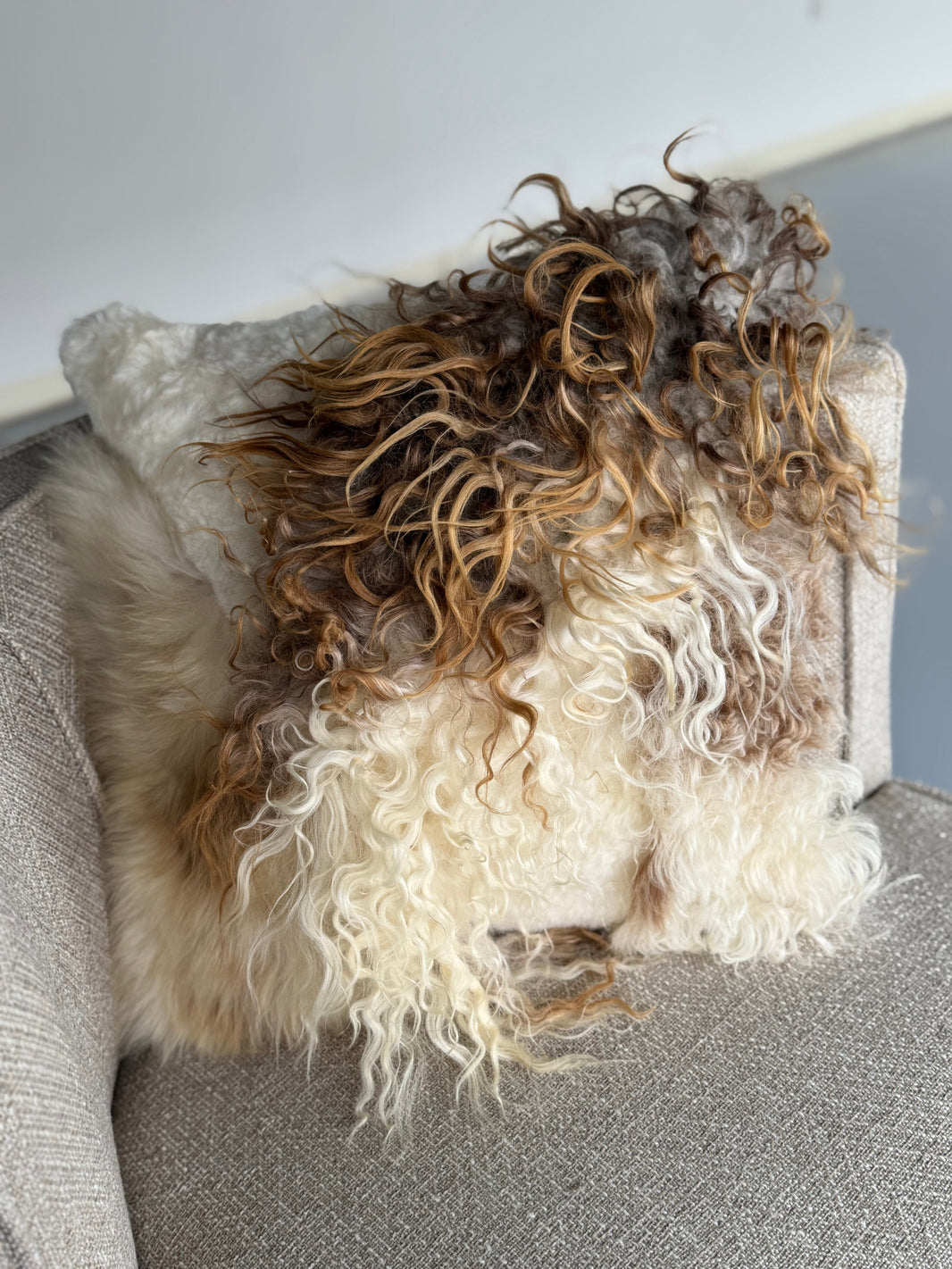 Mélange Lammfellkissen, lockige WolleEX-STOCK Canada 