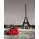 HD Canvas Diamond Painting Square Cross Stitch - EX-STOCK CANADA