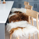 Brown Spotted Icelandic Sheepskin Chair Pad | Random 
