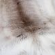 Light Sami Reindeer Hide EX-STOCK Canada 