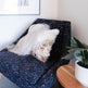 Mélange Sheepskin Pillow, straight wool 