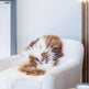 Brown Spotted Icelandic Sheepskin | Random EX-STOCK Canada 