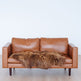 Rare Rusty Brown Icelandic Sheepskin 