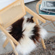 Brown Spotted Icelandic Sheepskin Chair Pad | Random 
