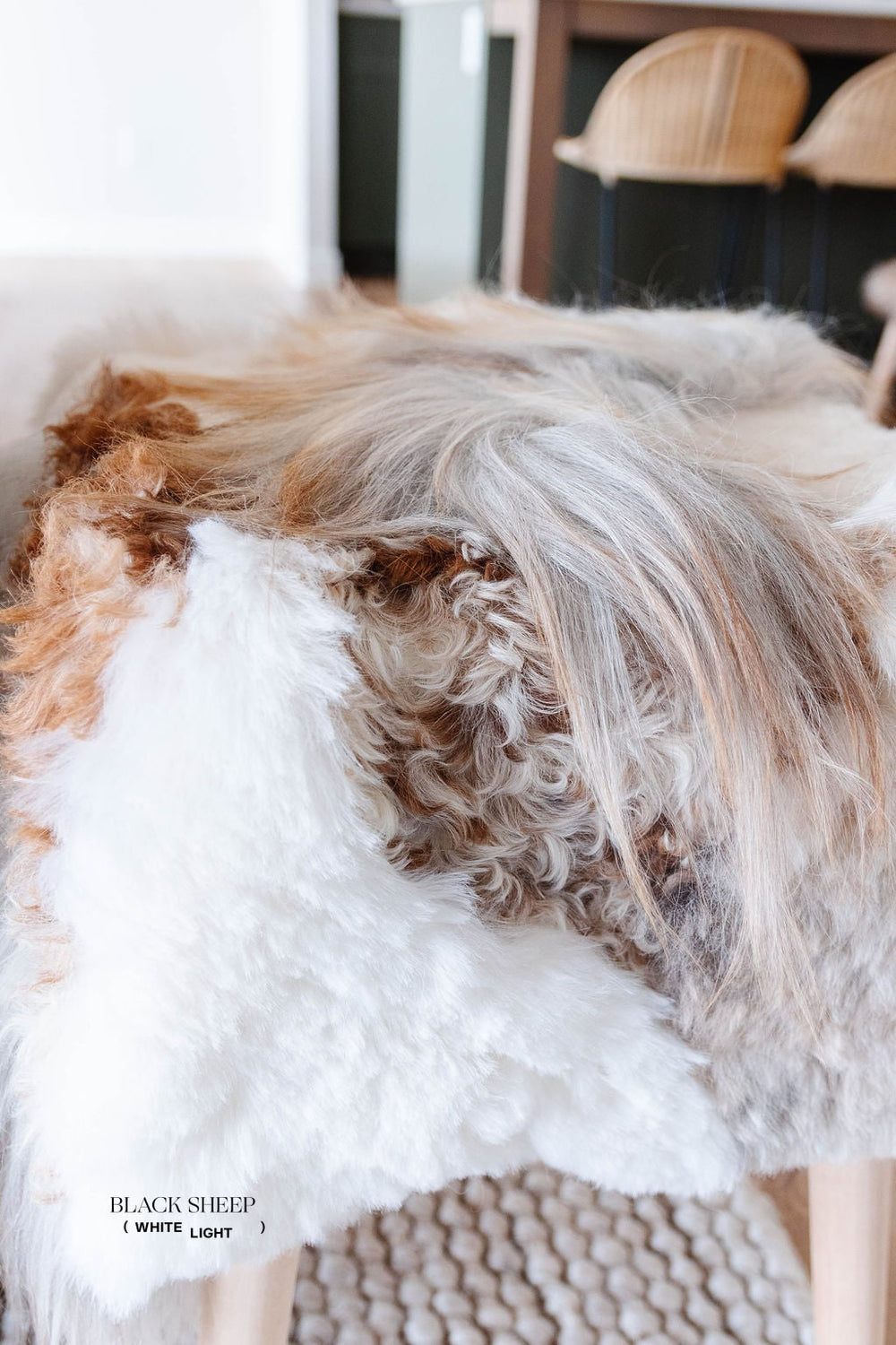 فاني - مقعد من جلود الغنم ميلايّج، صوف مستقيمEX-STOCK Canada 