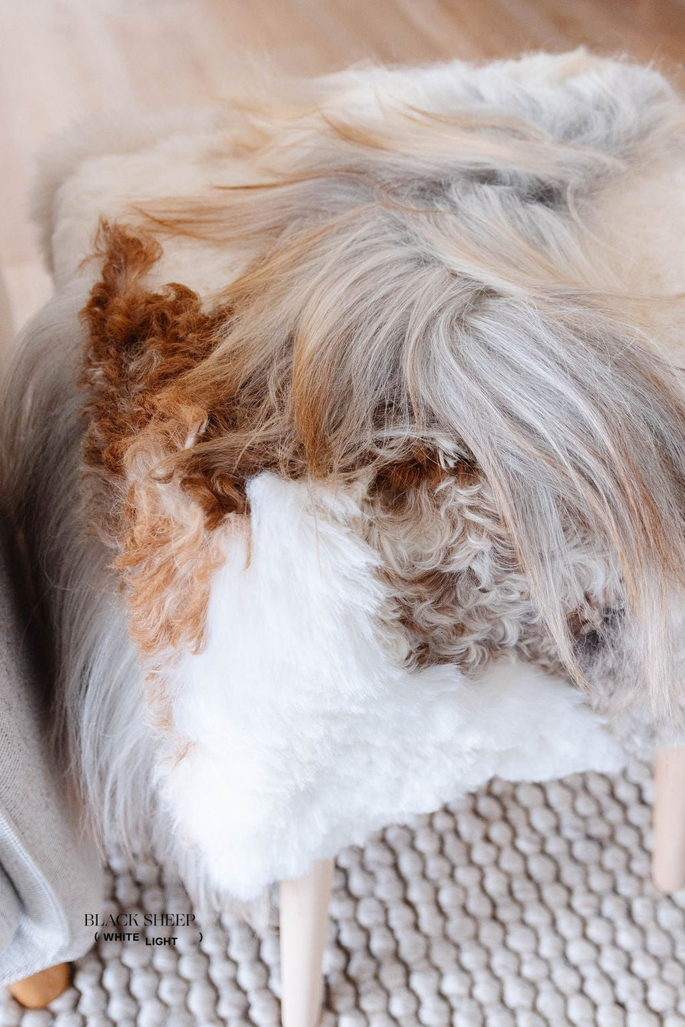 فاني - مقعد من جلود الغنم ميلايّج، صوف مستقيمEX-STOCK Canada 