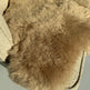 Shorn Nude Icelandic Sheepskin 