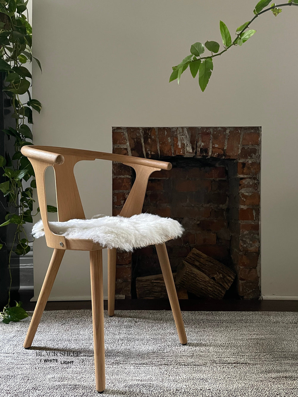 Shorn White Icelandic Sheepskin Chair Pad 