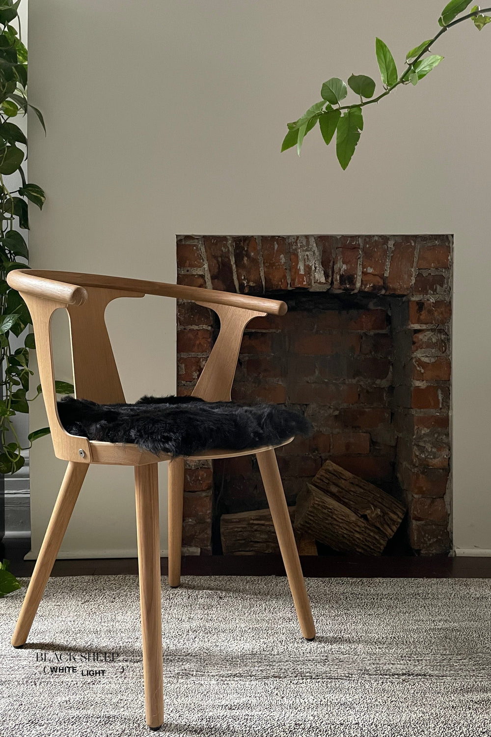 Shorn Black Icelandic Sheepskin Chair Pad 