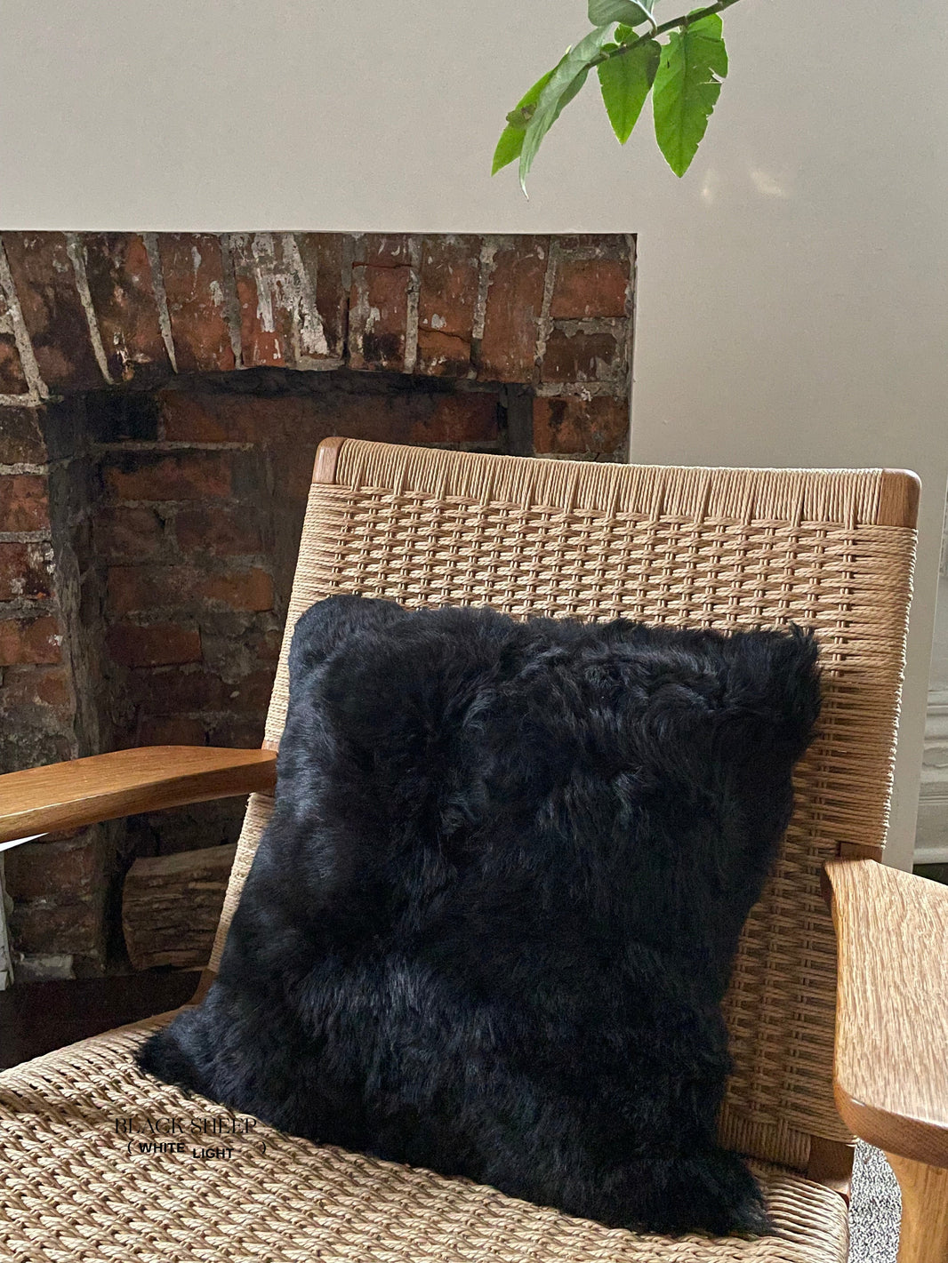 Quadratisches, geschorenes schwarzes isländisches Lammfell-KissenbezugEX-STOCK Canada 