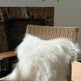 Square White Icelandic Sheepskin Pillow Cover EX-STOCK Canada 