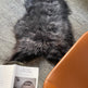 Steel Icelandic Sheepskin EX-STOCK Canada 