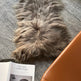 Taupe Icelandic Sheepskin 