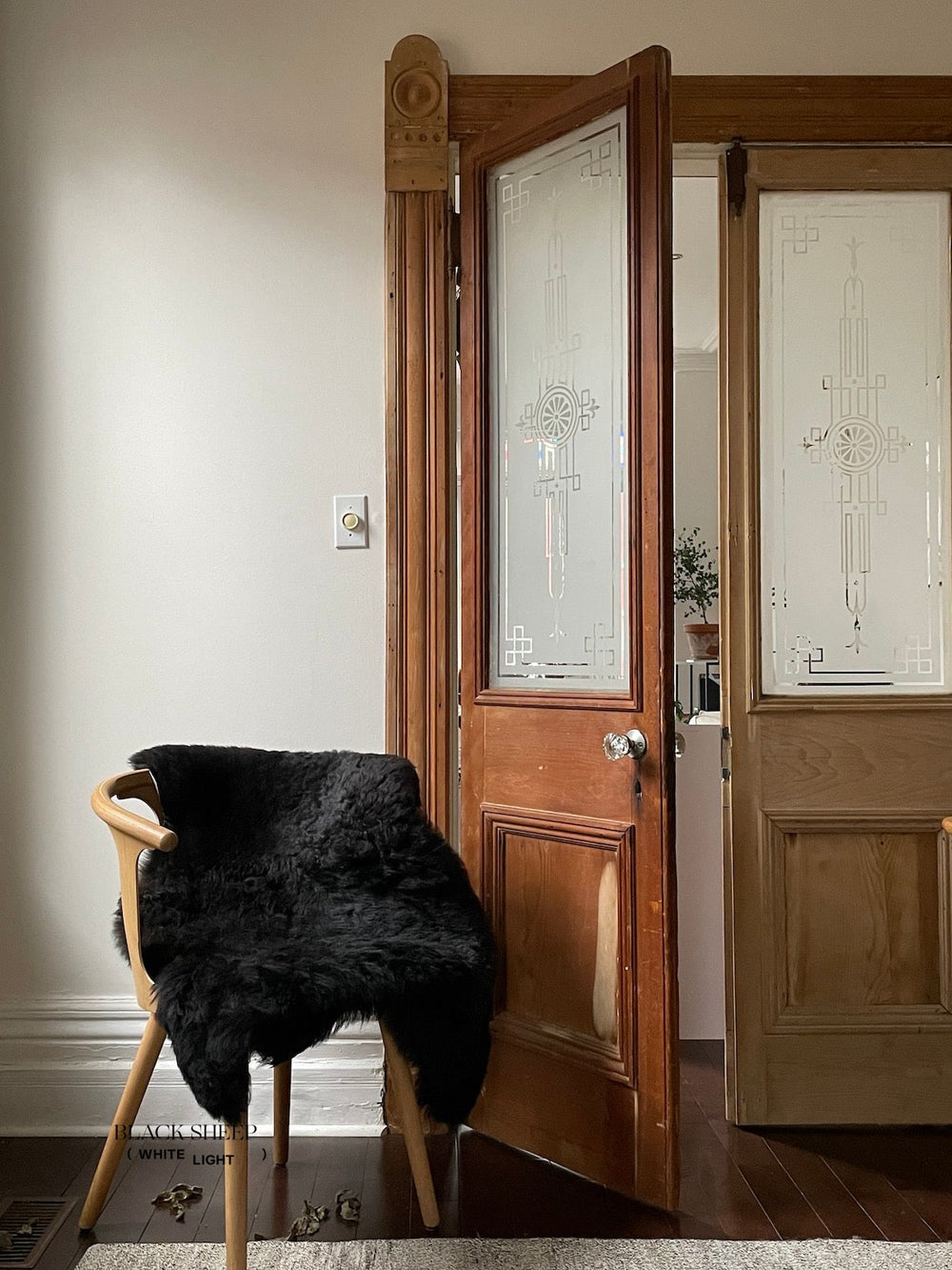 Geschorenes schwarzes isländisches SchaffellEX-STOCK Canada 