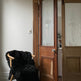 Shorn Black Double Icelandic Sheepskin EX-STOCK Canada 