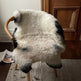 Shorn Dark Grey Edge Icelandic Sheepskin 