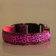 LED Dog Collar Safety Adjustable Nylon Leopard Pet Collar EX-STOCK Canada 