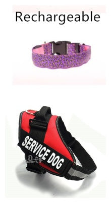 LED Dog Collar Safety Adjustable Nylon Leopard Pet Collar EX-STOCK Canada 