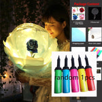 LED Luminous Balloon Rose Bouquet Transparent Bobo Ball Rose EX-STOCK Canada 