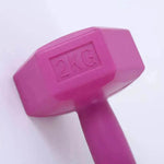 Ladies Gym Aerobics Filling Sand Hexagon Dumbbell - EX-STOCK Canada