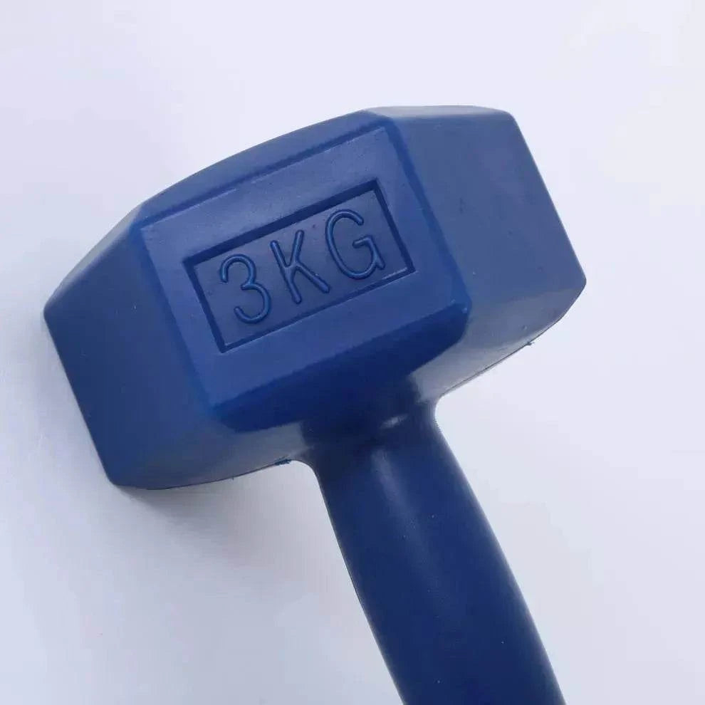 تمارين الأيروبيك للسيدات في صالة الألعاب الرياضية، رمل تعبئة، دمبل سداسي الشكل - EX-STOCK Canada