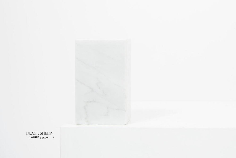 Serre-livres asymétriques en marbre Bianco CarraraEX-STOCK Canada 