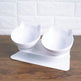 New Inclined Food Cat Ear Oblique Mouth Transparent Single Pet Bowl EX-STOCK Canada 