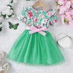 Girls Puff Sleeve Flower Printed Mesh Dress Baby girl dress gown