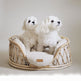 Pet Bed Handmade Rattan Woven Pet Bed Sofa For Dogs EX-STOCK Canada 