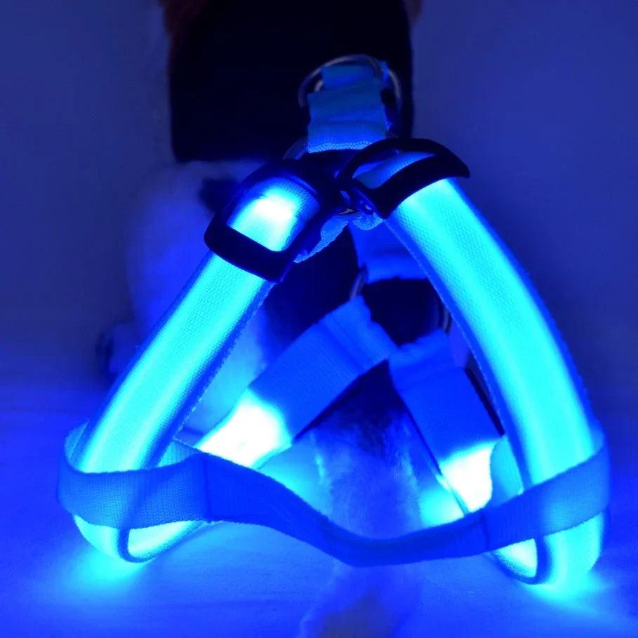 Productos para mascotas Correa de pecho luminosa para perro LED Correa luminosa para perro grandeEX-STOCK Canada 