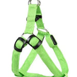 Pet Products LED Luminous Dog Chest Strap Large Dog Luminous Dog Leash EX-STOCK Canada 