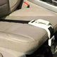 Pregnant women's safety belts, prenatal care with anti-belts - EX-STOCK CANADA