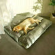 Relaxing and Removable Washable Pet Sleeping cushion - EX-STOCK CANADA