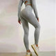 Seamless Yoga Pants Sports Gym Fitness Leggings Or Long Sleeve Tops Outfit - EX-STOCK CANADA