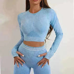 Seamless Yoga Pants Sports Gym Fitness Leggings Or Long Sleeve Tops Outfit - EX-STOCK CANADA