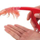 Shrimp Peeler Kitchen Appliances Portable Stainless Steel Shrimp Deveiner Lobster Practical Kitchen Supplies Fishing Knife Tools - EX-STOCK Canada