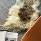 Brown Spotted Icelandic Sheepskin | Random 