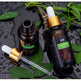Talent Hair Growth Repair Hair Follicle Essential Oil EX-STOCK Canada 