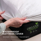 ARY Organic+ Mattress Combo 
