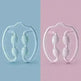Yoga Massage Circular Clip Small Leg Massager - EX-STOCK CANADA